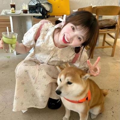 灵狐 海报